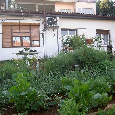 Ferienwohnung Apartman Thea Opatija Exterior foto